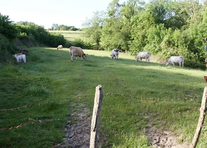 Alain Et Flo לינה וארוחת בוקר